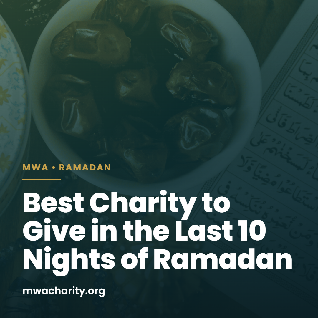 Best Charity to Give in the Last 10 Nights of Ramadan