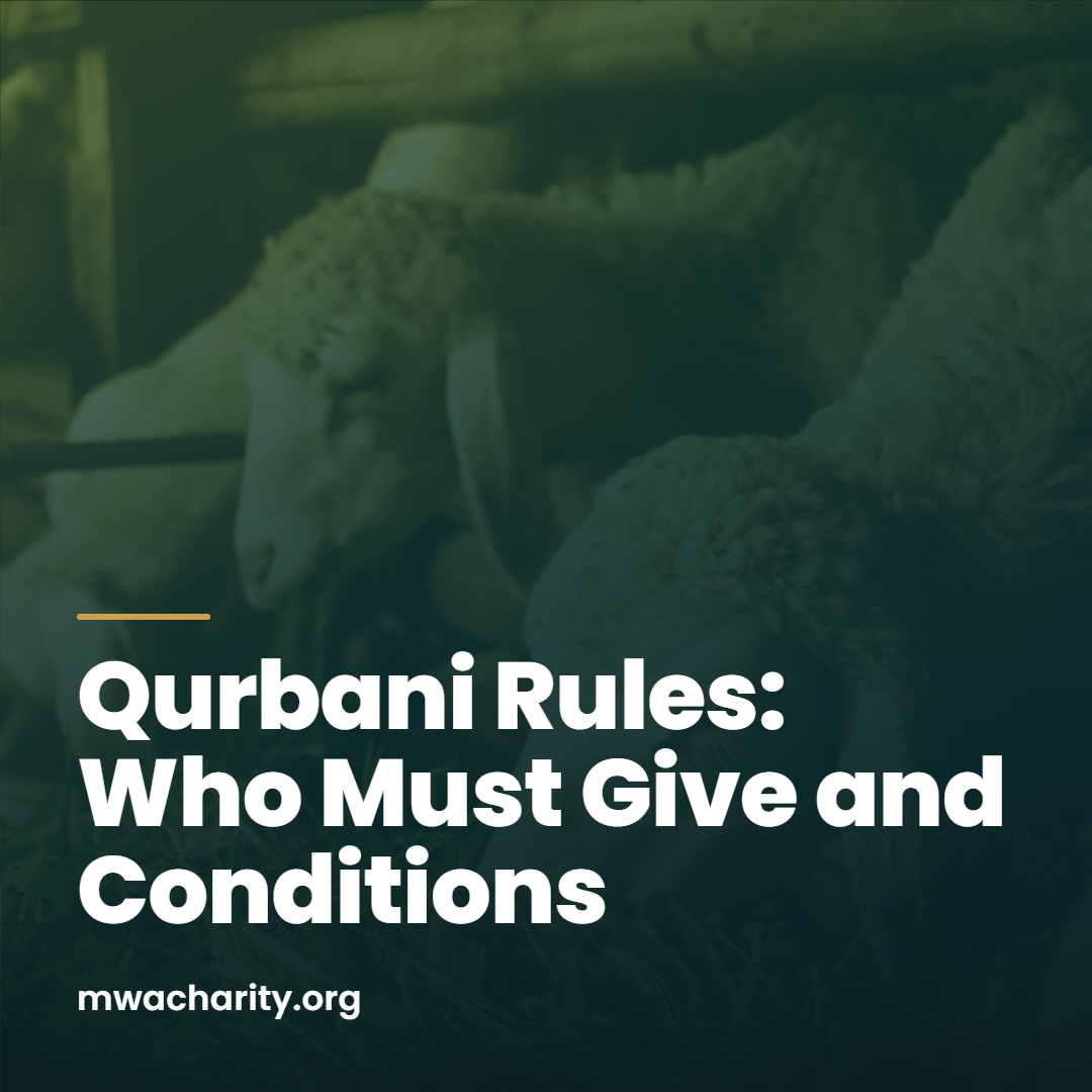 Qurbani Rules: Who Must Give and Conditions