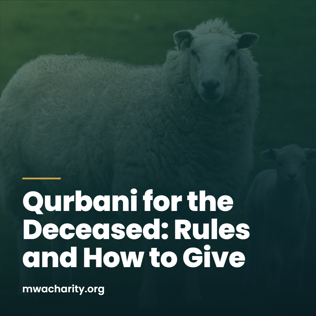 Qurbani for the Deceased