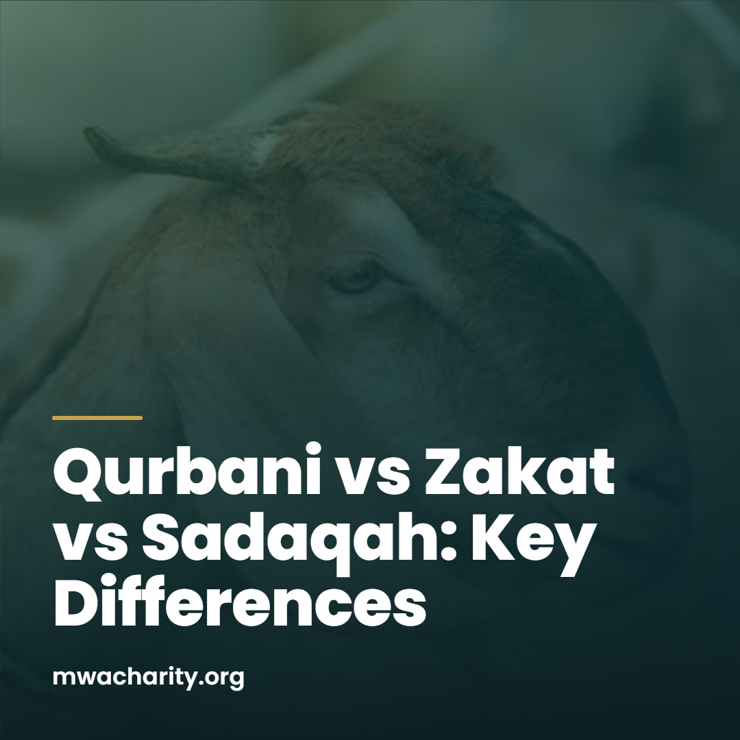 Qurbani vs Zakat vs Sadaqah: Key Differences